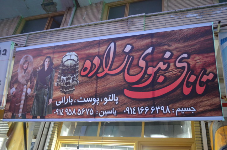 تانای نبوی زاده