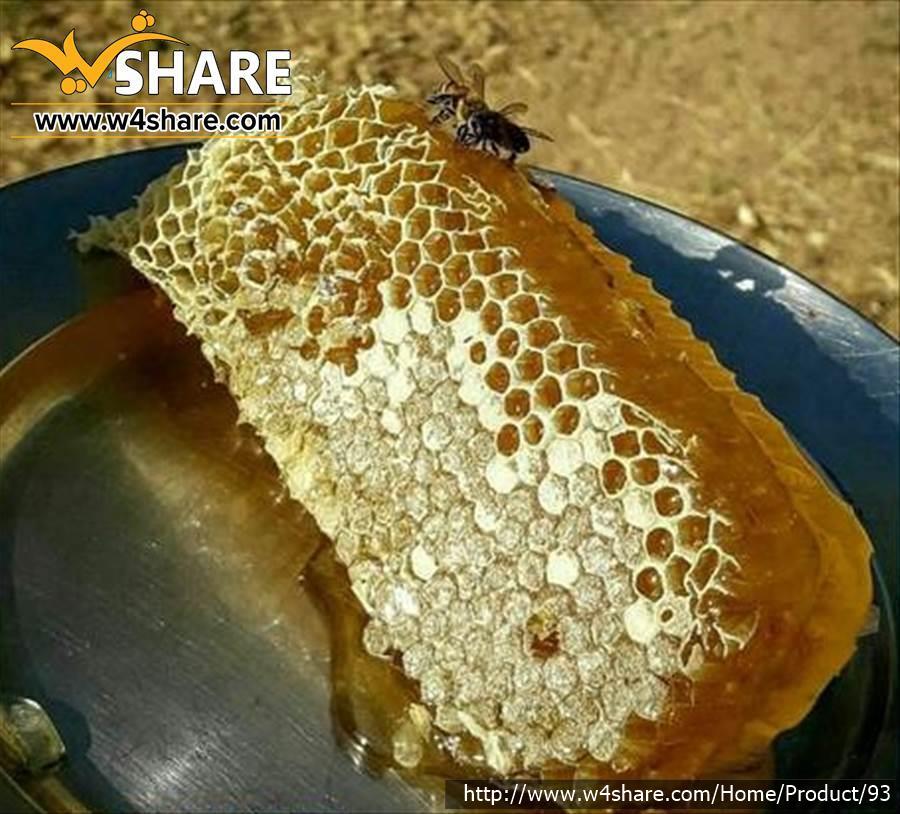 عسل طبیعی با موم سپی سنگ کردستان